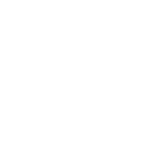 Wholesalers and Dispensing Persons